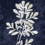 Picture of NATURE WHITE ON BLUE II