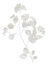 Picture of NATURAL NATURE VI