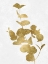 Picture of NATURE GOLD ON WHITE I