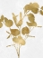 Picture of NATURE GOLD ON WHITE III