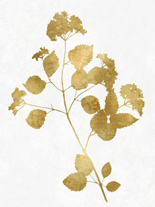 Picture of NATURE GOLD ON WHITE VI