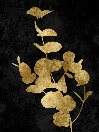 Picture of NATURE GOLD ON BLACK I