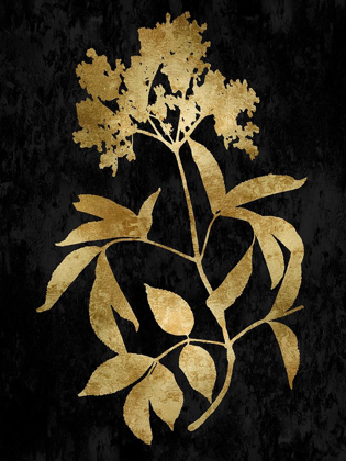 Picture of NATURE GOLD ON BLACK V