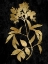 Picture of NATURE GOLD ON BLACK V