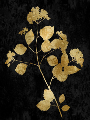 Picture of NATURE GOLD ON BLACK VI