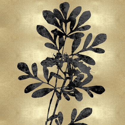 Picture of NATURE BLACK ON GOLD II