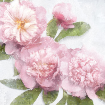 Picture of PINK BLOOM I