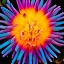 Picture of ORANGE BLOOM POP