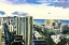 Picture of DIAMOND HEAD PEEK 
