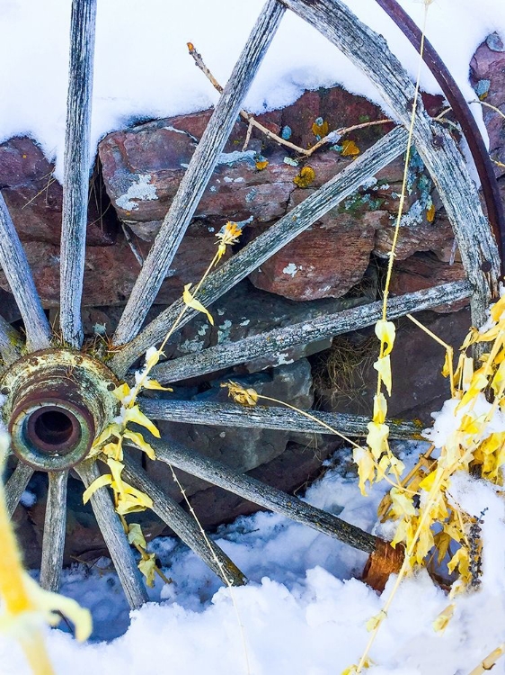 Picture of MONTANA WAGON WHEEL I