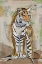 Picture of TIGER STRENGTH