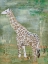 Picture of MAJESTIC GIRAFFE