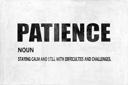 Picture of PATIENCE 