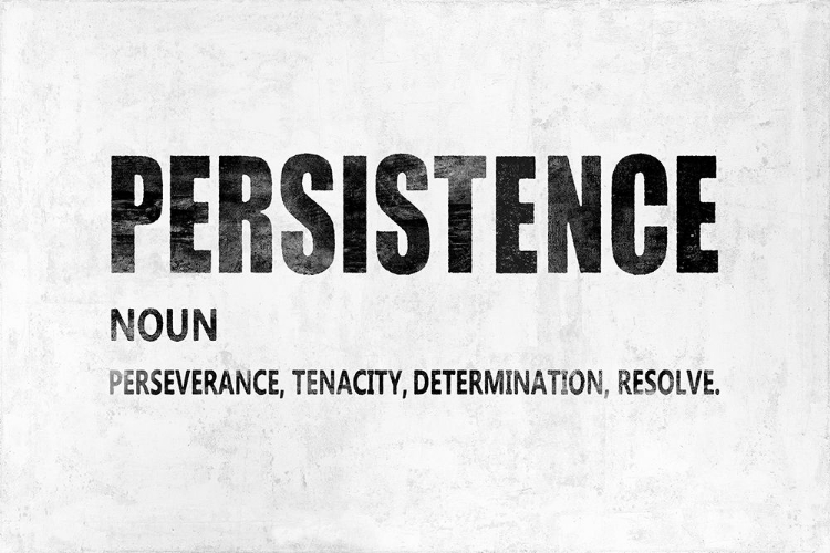 Picture of PERSISTENCE