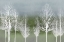 Picture of TREES ON GREEN 