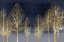 Picture of GOLD FOREST ON BLUE