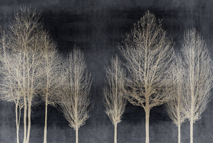 Picture of TREES ON DARK GRAY