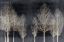 Picture of TREES ON DARK GRAY