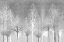 Picture of SILVER TREES