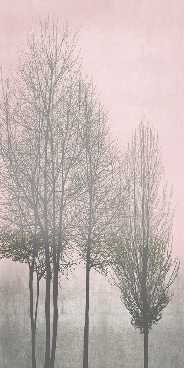 Picture of GRAY TREES ON PINK PANEL I