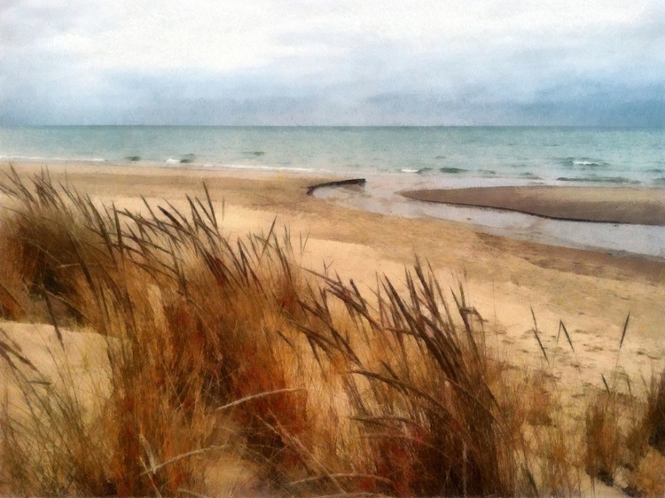Picture of PIER COVE BEACH WITH AUTUMN GRASSES 