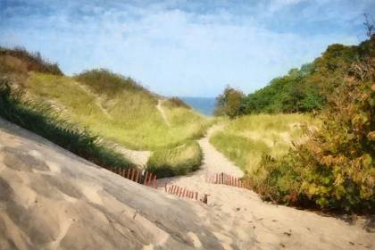 Picture of LAKE MICHIGAN COASTAL DUNE PATH 