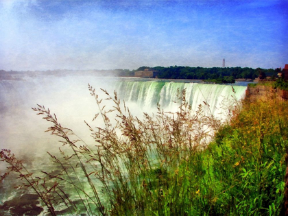 Picture of NIAGARA FALLS WITH GRASSES 