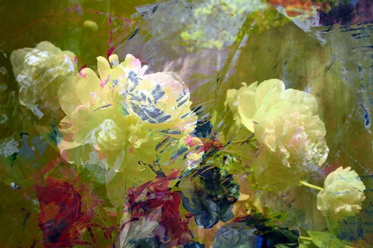 Picture of GARDEN ABSTRACT 