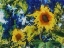 Picture of SUNFLOWERS 