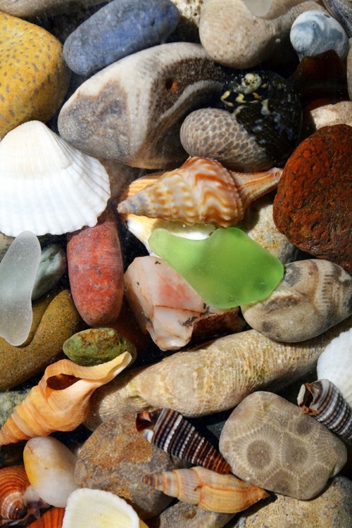 Picture of PETOSKEY STONES I