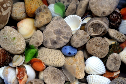 Picture of PETOSKEY STONES III