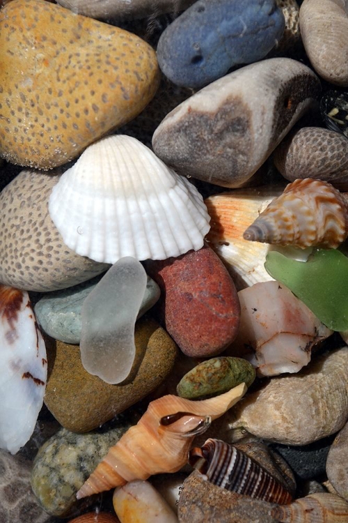 Picture of PETOSKEY STONES IV