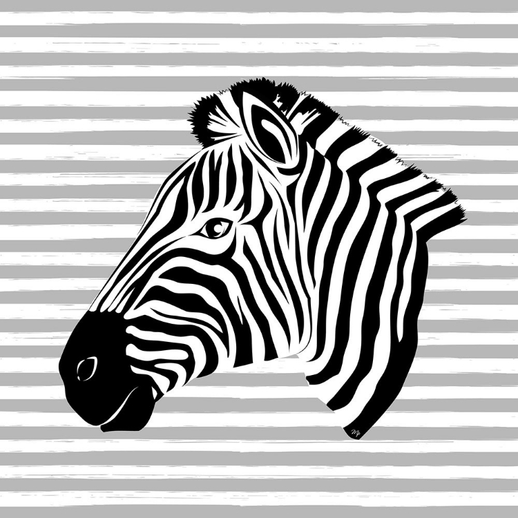 Picture of STRIPED ZEBRA