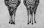 Picture of ZEBRAS
