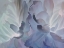 Picture of CHRYSANTHEMUM VI
