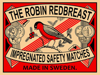 Picture of ROBIN MATCHES
