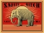 Picture of MROAGN ELEPHANT MATCHES