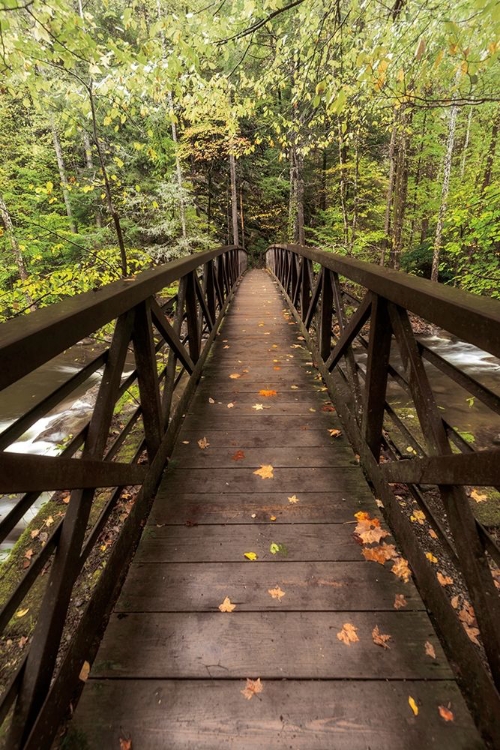 Picture of AUTUMNS BRIDGE