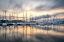 Picture of SAILORS SUNRISE