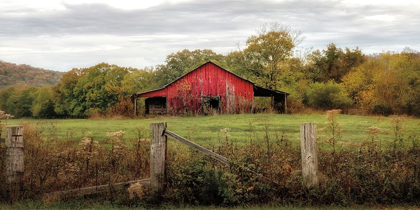 Picture of DOWN ON THE FARM