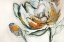 Picture of BLOOMED IV
