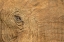 Picture of AFRICA-BOTSWANA-KASANE-CLOSE-UP OF BULL ELEPHANTS EYE AT SUNSET NEAR CHOBE RIVER