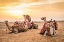 Picture of AFRICA-EGYPT-CAIRO GIZA PLATEAU CAMELS AT THE GREAT PYRAMIDS OF GIZA