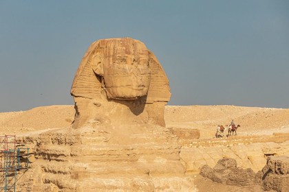 Picture of AFRICA-EGYPT-CAIRO GIZA PLATEAU GREAT SPHINX OF GIZA