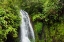 Picture of MADAGASCAR-ANTSIRANANA AMBER MOUNTAIN NATIONAL PARK WATERFALL