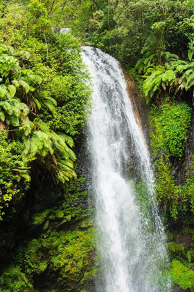 Picture of MADAGASCAR-ANTSIRANANA AMBER MOUNTAIN NATIONAL PARK WATERFALL