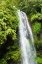 Picture of MADAGASCAR-ANTSIRANANA AMBER MOUNTAIN NATIONAL PARK WATERFALL