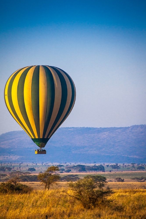 Picture of A HOT-AIR BALLOON SLOWLY TRAVERSES OVER THE SERENGETI PLAIN