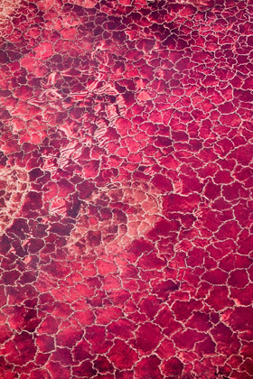 Picture of AFRICA-TANZANIA-AERIAL VIEW OF PATTERNS OF RED ALGAE AND SALT FORMATIONS IN SHALLOW SALT WATERS