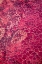 Picture of AFRICA-TANZANIA-AERIAL VIEW OF PATTERNS OF RED ALGAE AND SALT FORMATIONS IN SHALLOW SALT WATERS